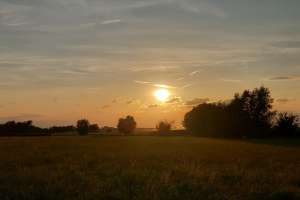 Sonnengesang_web