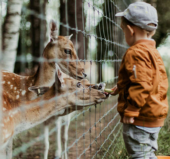 Foto: © Daiga Ellaby auf Unsplash