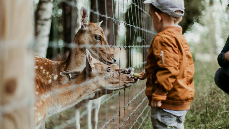 Foto: © Daiga Ellaby auf Unsplash