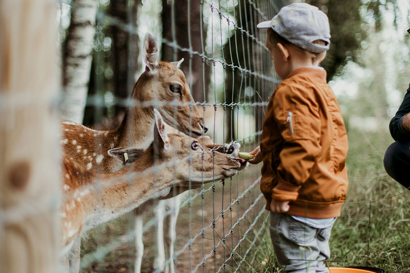 Foto: © Daiga Ellaby auf Unsplash